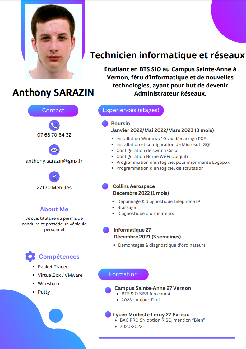 Curriculum Vitae de Sarazin Anthony